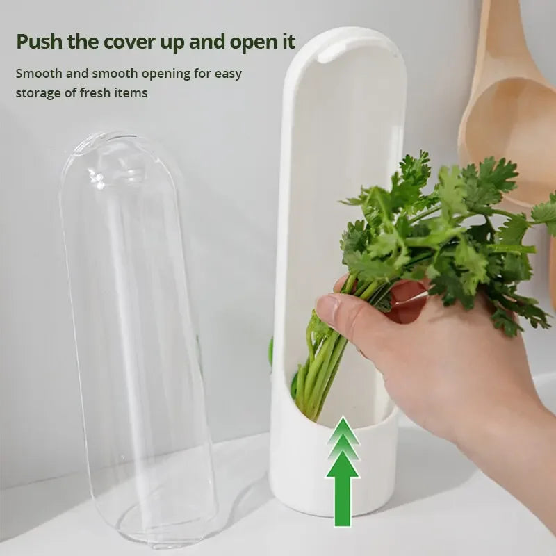 Refrigerator Herb Crisper Saver Pod Container Vegetable Preserving Bottle Keep Herb/Cilantro/Mint/Parsley/Asparagus Fresh Green