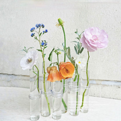 Clear Glass Vase Tubes Set Hanging Flower Holder Plant Container Flower Vases for Homes Room Decor