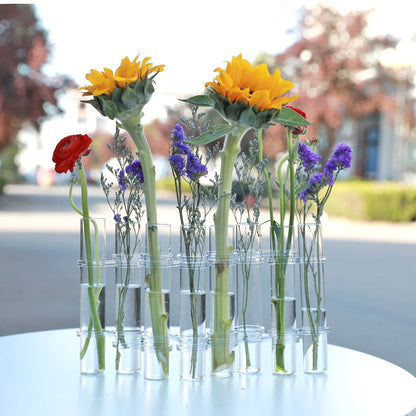 Clear Glass Vase Tubes Set Hanging Flower Holder Plant Container Flower Vases for Homes Room Decor